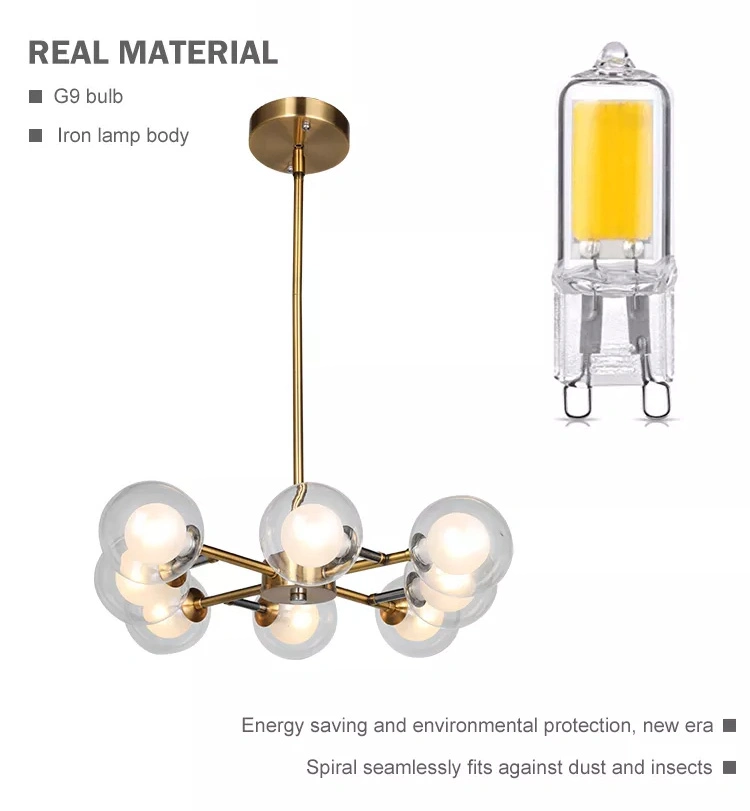 12-Lights Indoor Pendant Light Fixture with Clear Glass Shade for Living Room, Bedroom and Kitchen, Modern Ceiling Pendant Lighting