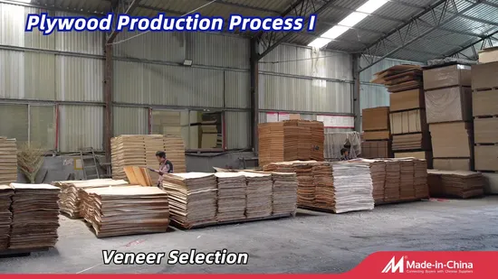 12-Lights Indoor Pendant Light Fixture with Clear Glass Shade for Living Room, Bedroom and Kitchen, Modern Ceiling Pendant Lighting